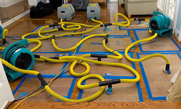 Professional Water Damage Restoration technician working in Sullivan's Island, SC